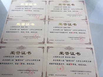个人获奖证书